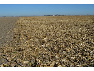 Tract 1 - FARMLAND AUCTION - 165.5+/- ACRES OFFERED IN 5 TRACTS OR COMBINATIONS IN EAST ALLEN COUNTY